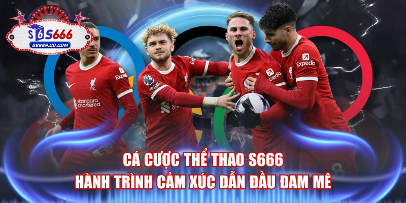 Cá Cược Thể Thao S666