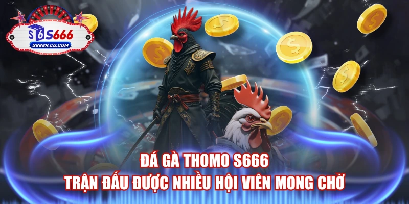 Đá Gà Thomo S666