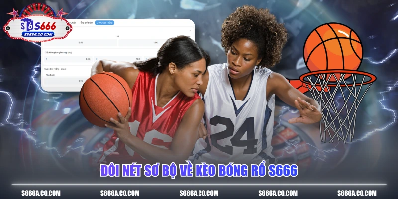 Đôi nét sơ bộ về kèo bóng rổ S666