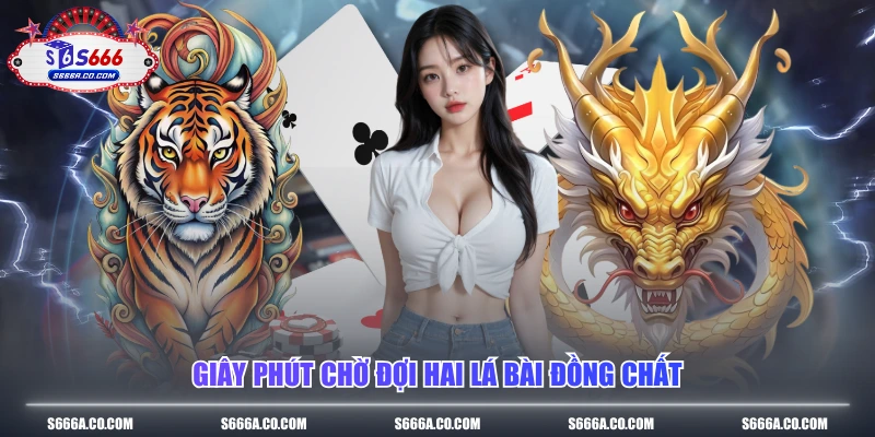 Giây phút chờ đợi hai lá bài đồng chất