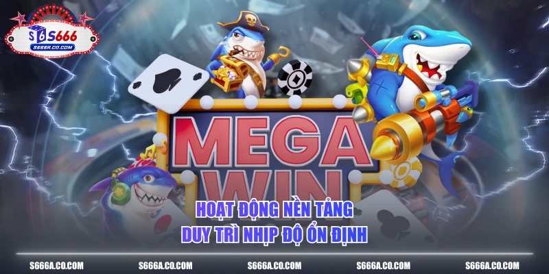 Hoạt động nền tảng duy trì nhịp độ ổn định