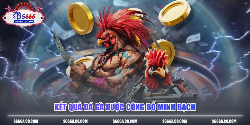 Kết quả đá gà được công bố minh bạch