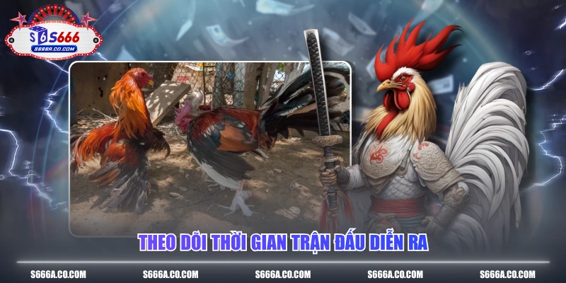 Theo dõi thời gian trận đấu diễn ra