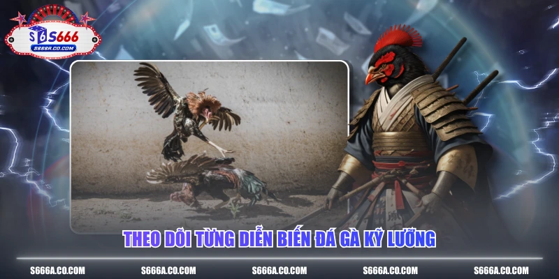 Theo dõi từng diễn biến đá gà kỹ lưỡng